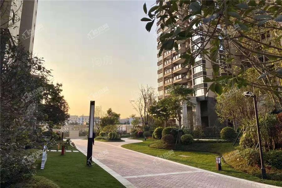 金科观天下实景图