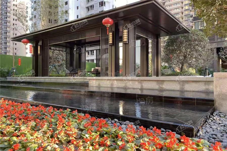 金科观天下实景图