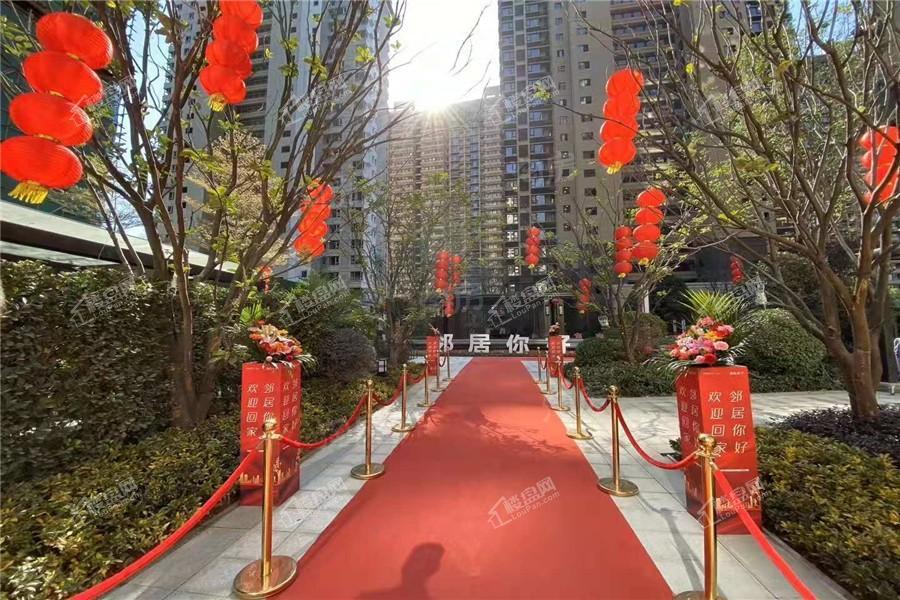 金科观天下实景图