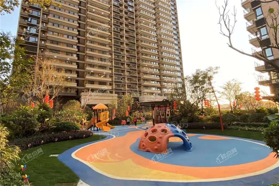 金科观天下实景图