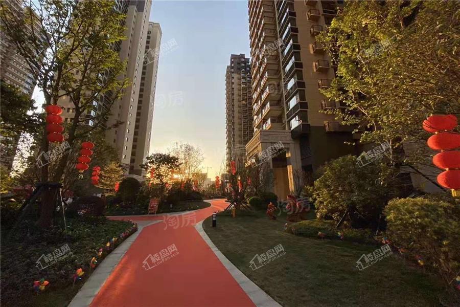 金科观天下实景图