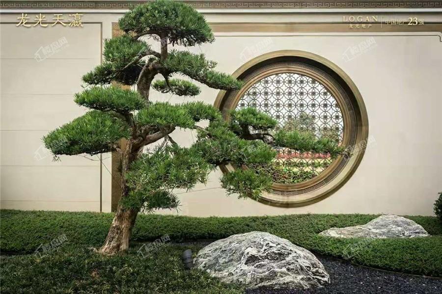 龙光天瀛实景图