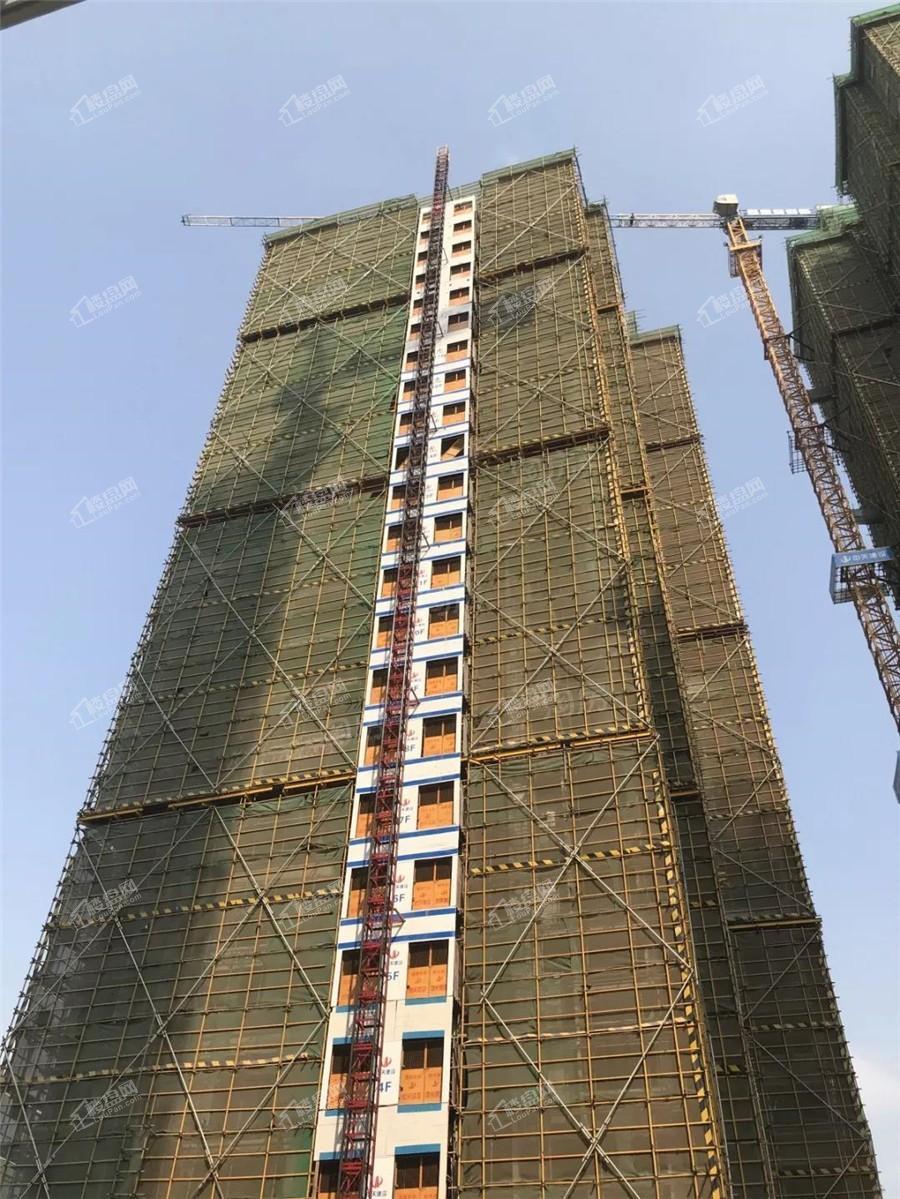 金科博翠山实景图