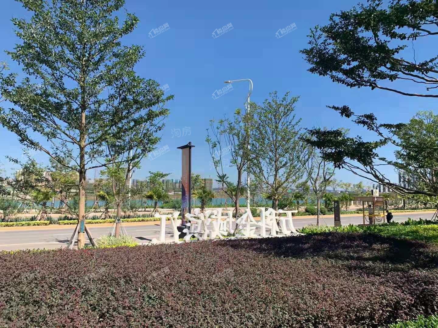 万科金域滨江实景图