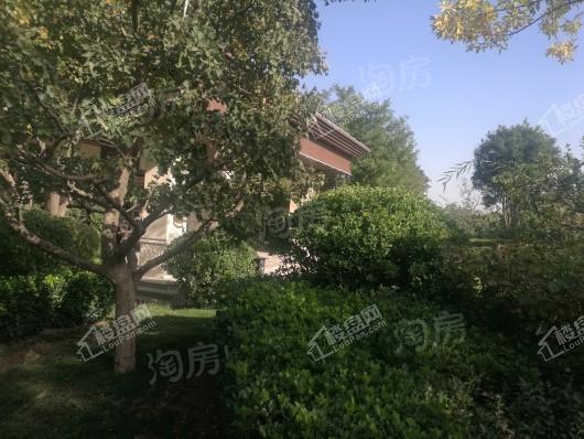 绿城·御河上院实景图
