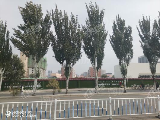 远鹏香林郡实景图