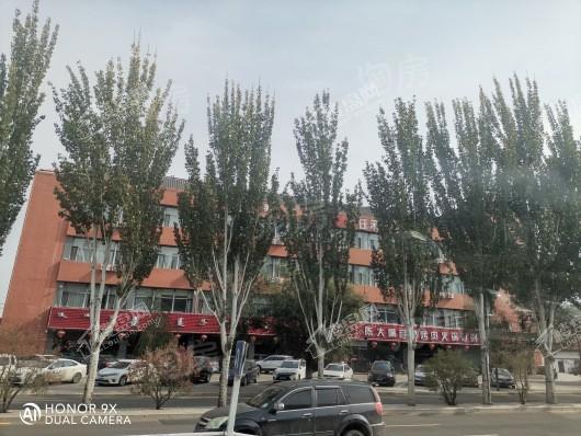远鹏香林郡实景图