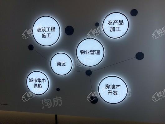 中实·玺樾府实景图
