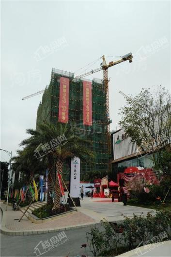 慧源山庄实景图