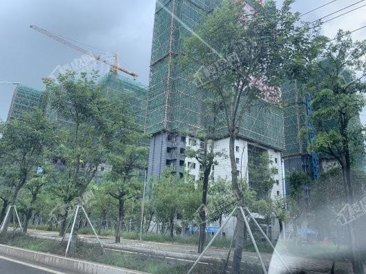 中海观澜府实景图