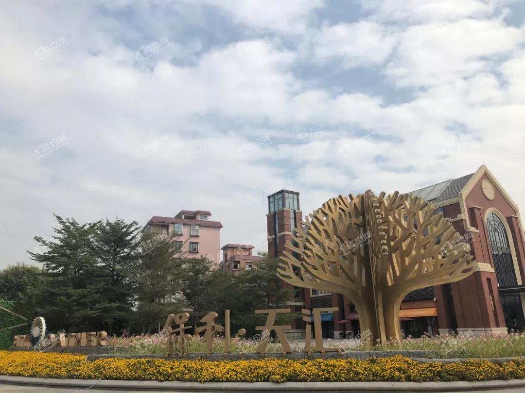 实景图