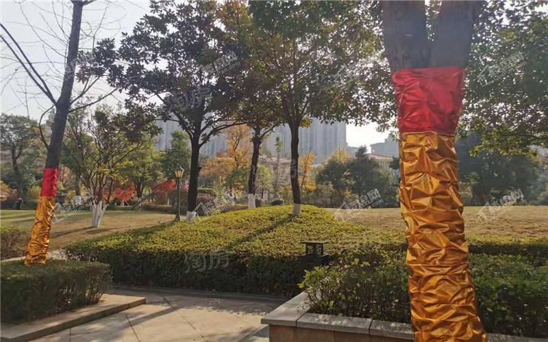 时代倾城·遇见实景图