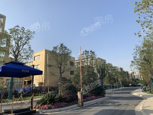 紫晶南园三期实景图