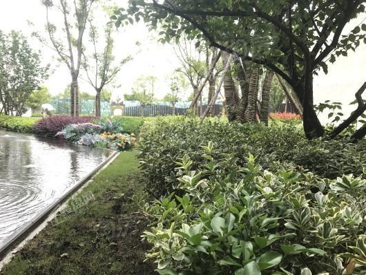 中南江山美宸实景图