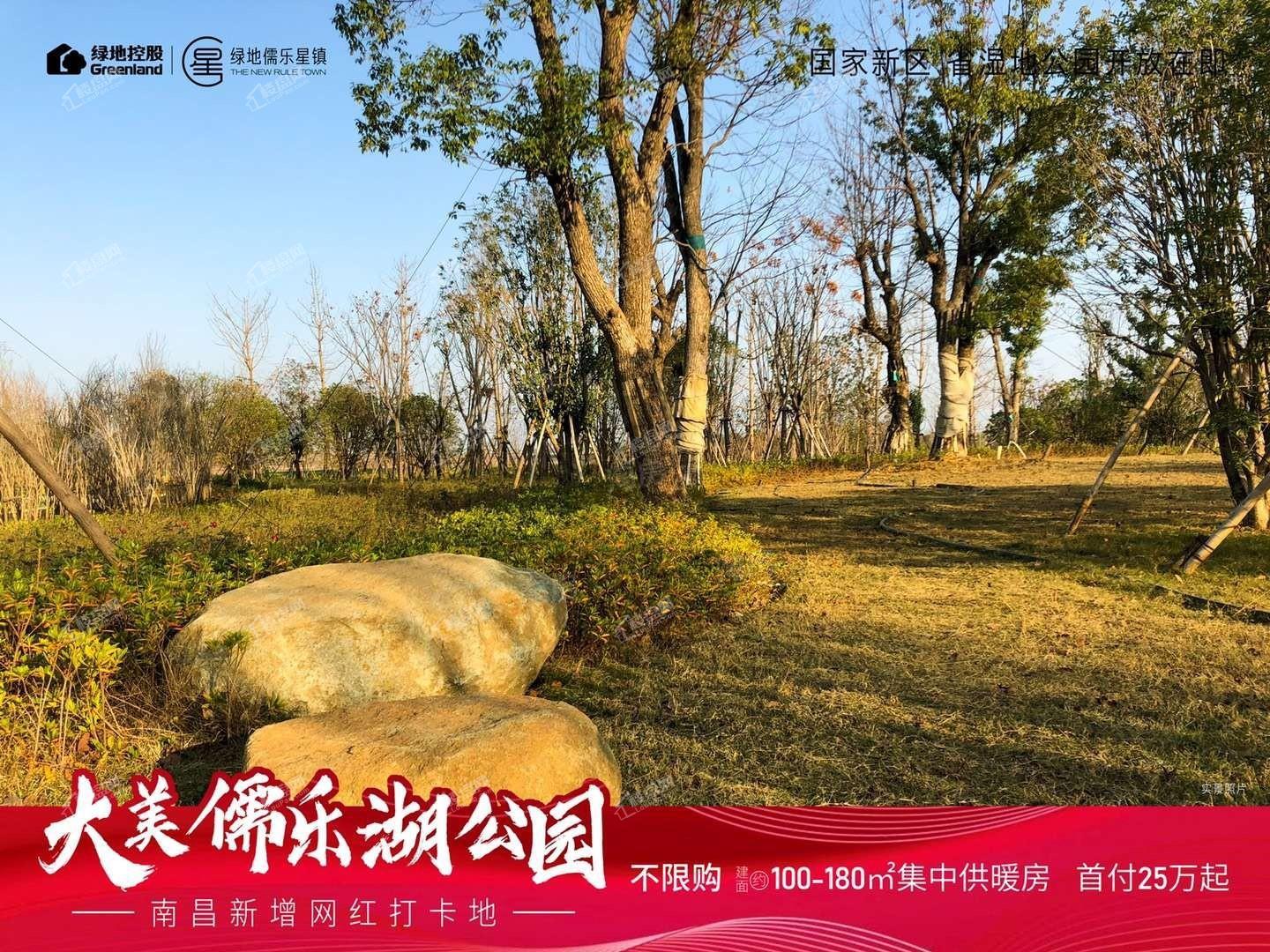 绿地儒乐星镇配套图