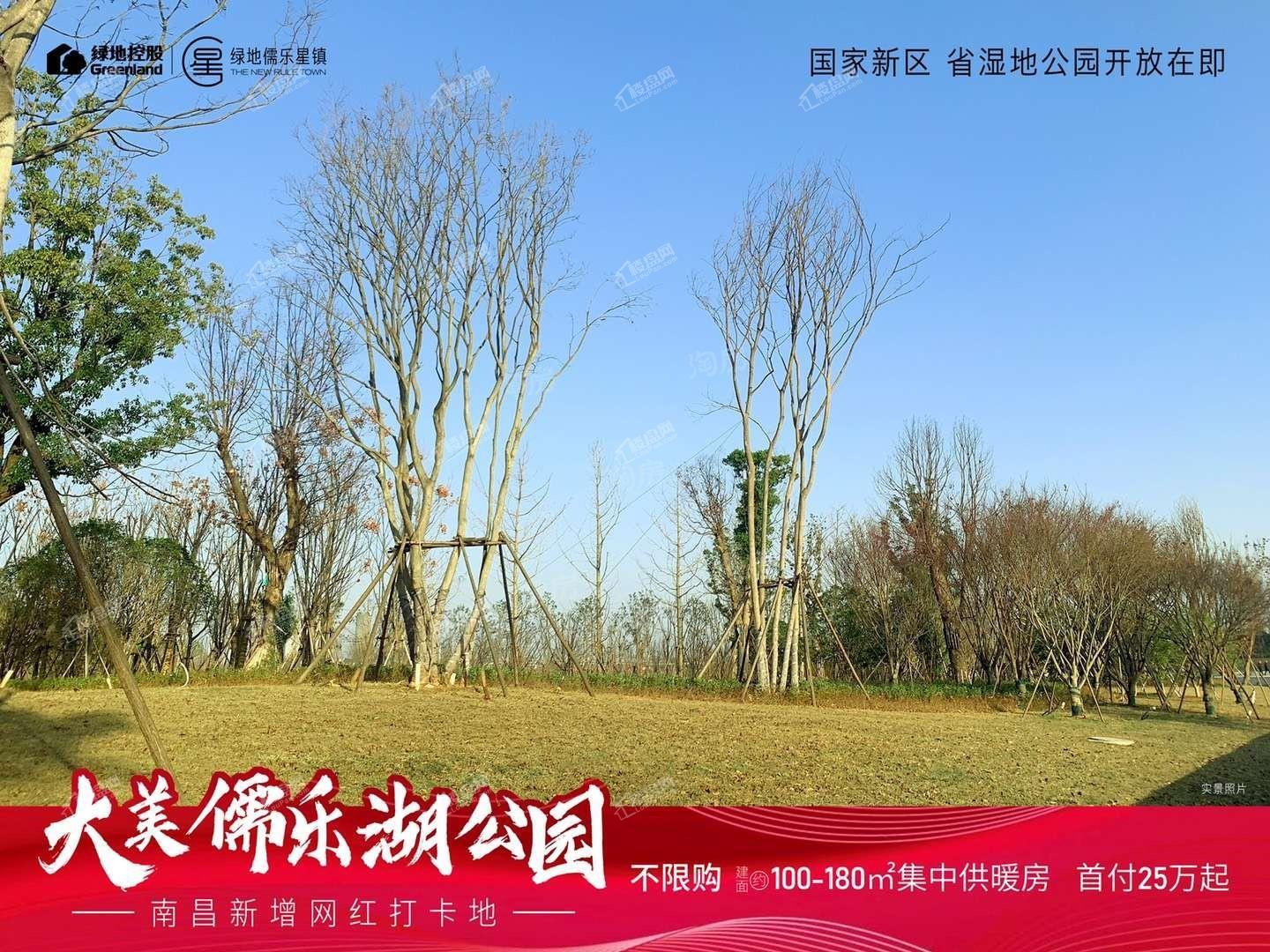 绿地儒乐星镇配套图