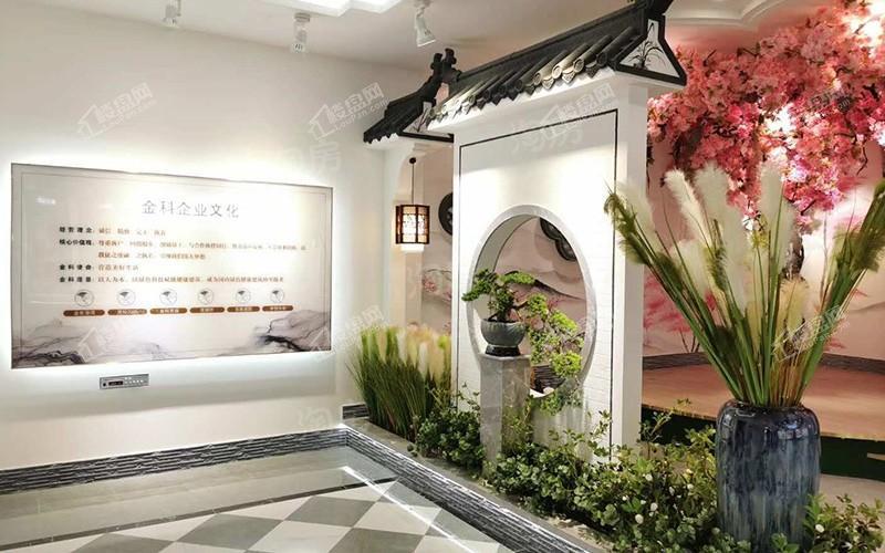 金科梦想传奇实景图