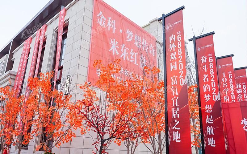 金科梦想传奇实景图