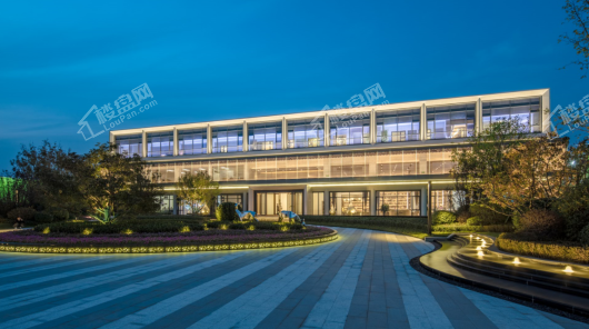 龙湖天鉅实景图