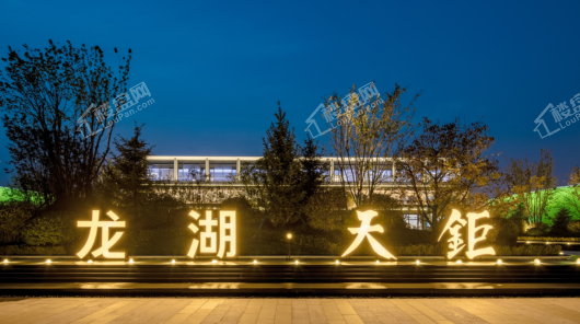 龙湖天鉅实景图
