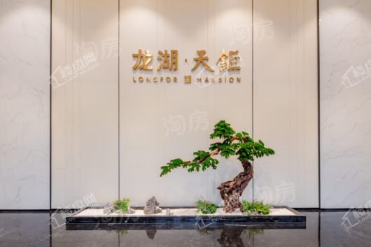 龙湖天鉅实景图