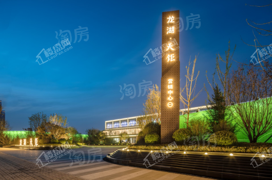 龙湖天鉅实景图
