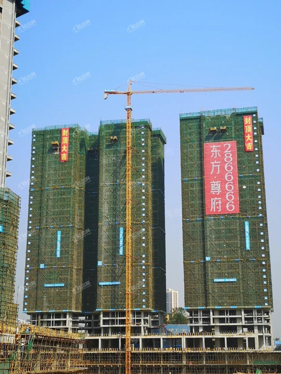 东方尊府实景图