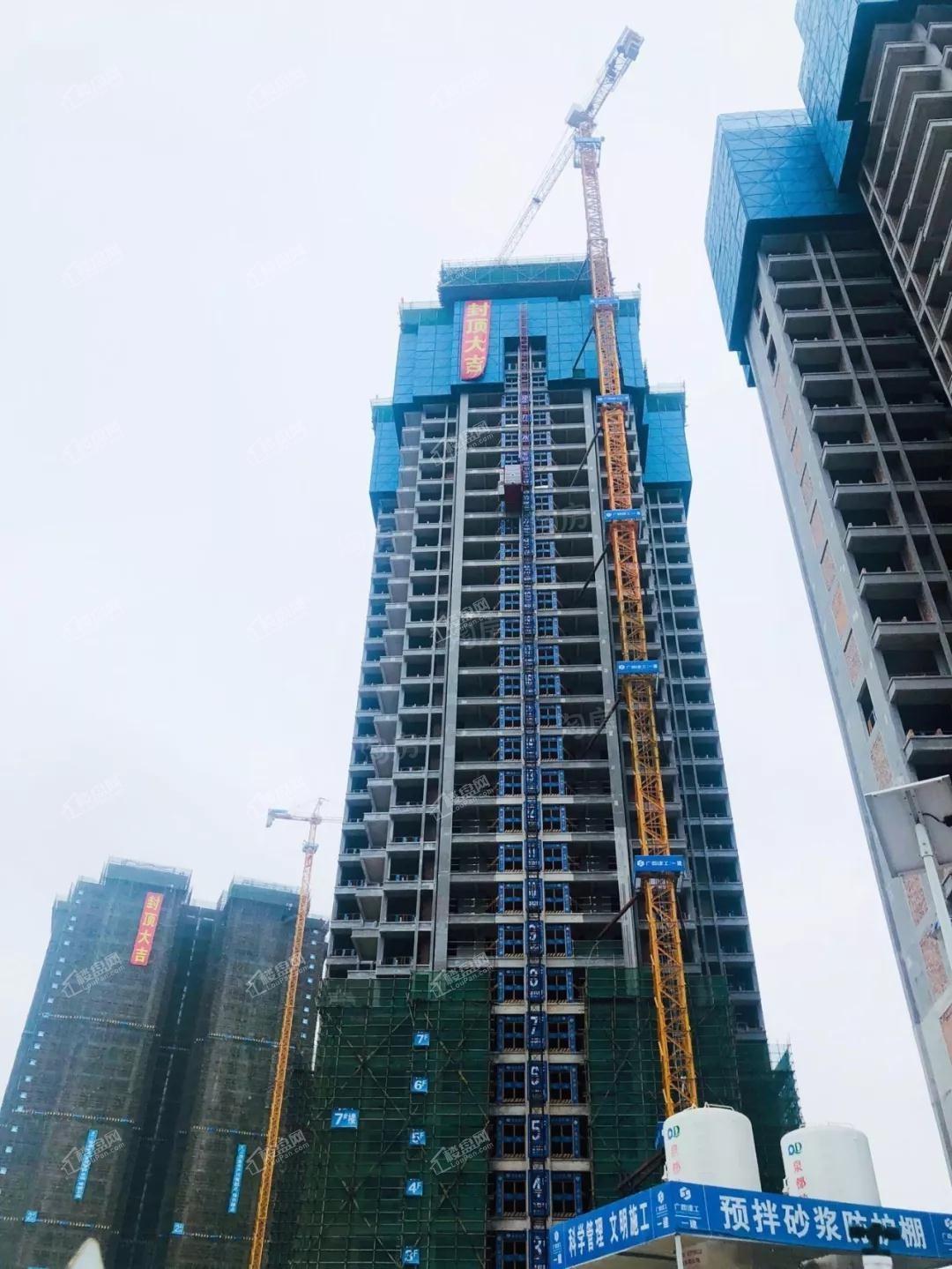 东方尊府实景图