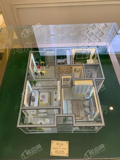 国控·云庭实景图