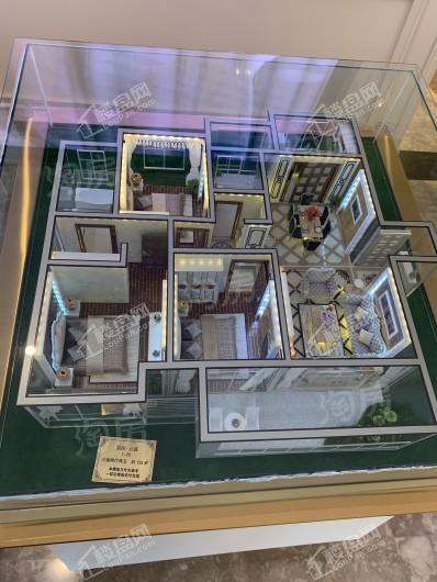 国控·云庭实景图