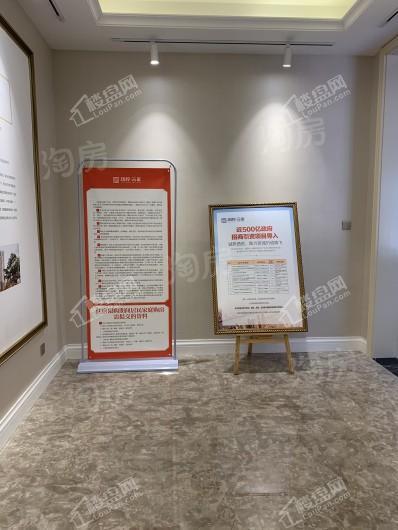 国控·云庭实景图