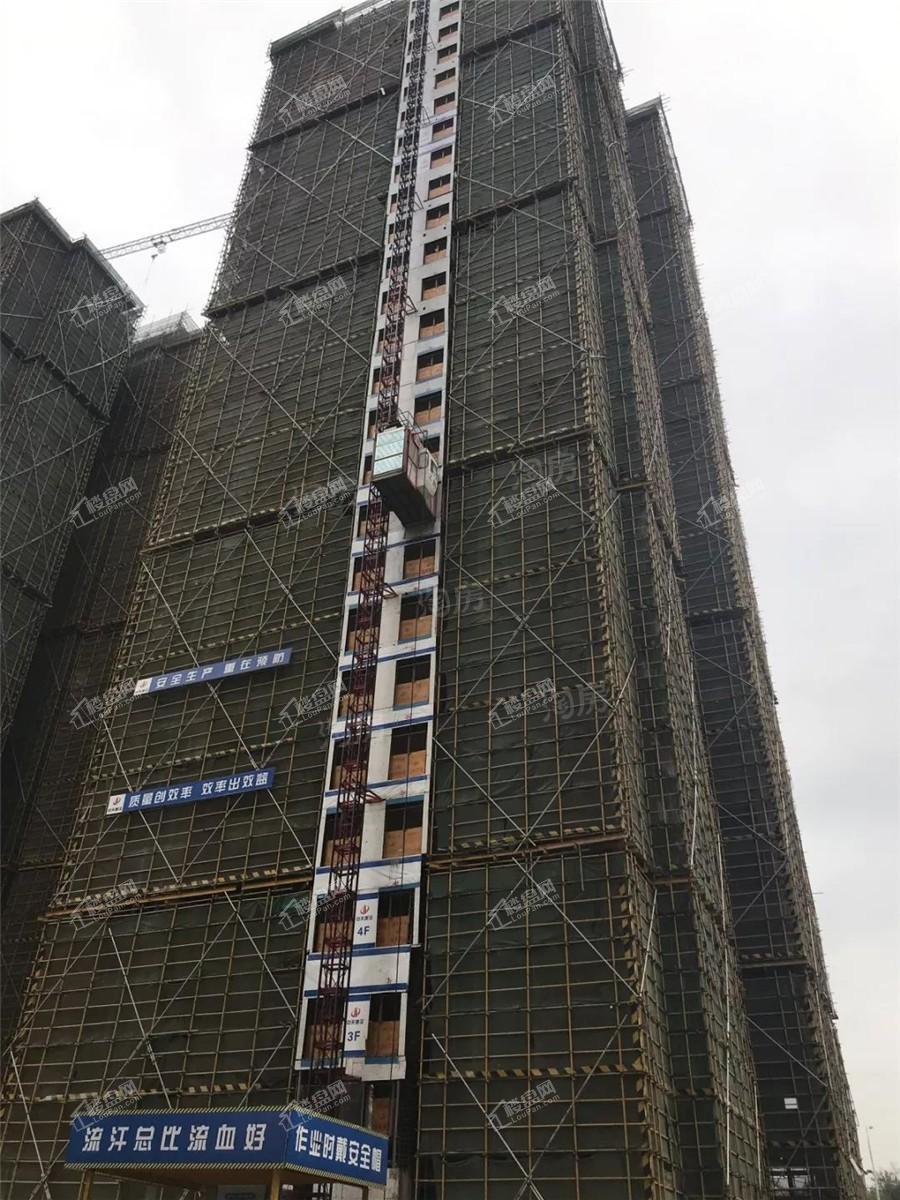 金科博翠山实景图