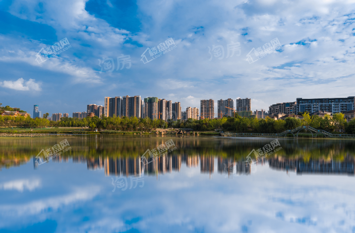 实景图