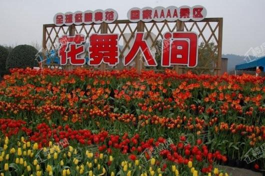 恒大林溪郡配套图