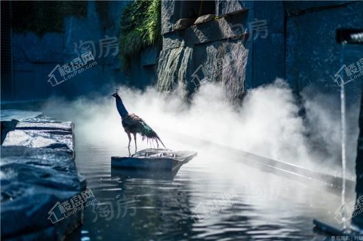 万科天府锦绣实景图