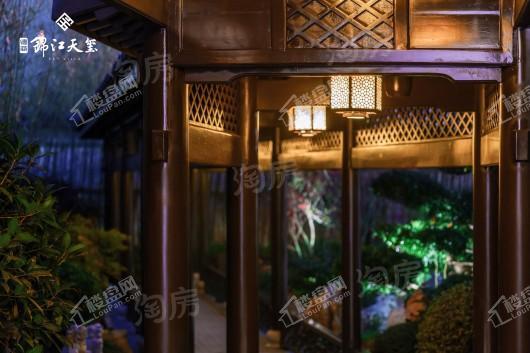 德商锦江天玺项目实景图