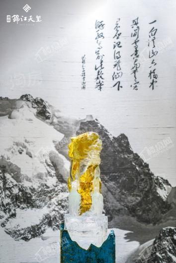 德商锦江天玺项目实景图