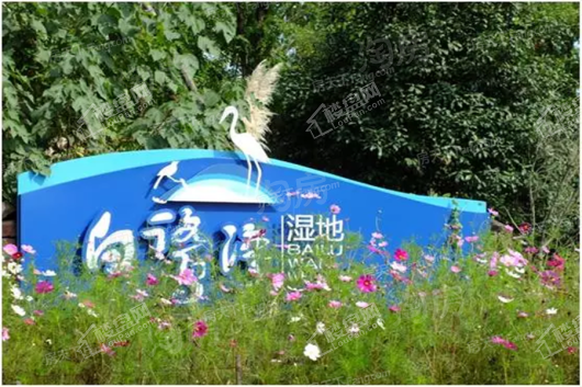 德商锦江天玺项目配套图