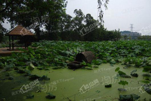 德商锦江天玺项目配套图