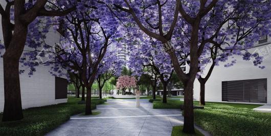 旭辉碧桂园云樾名邸效果图