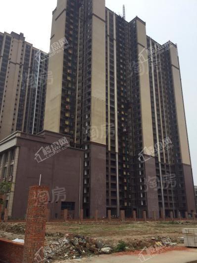 锦丰首席实景图