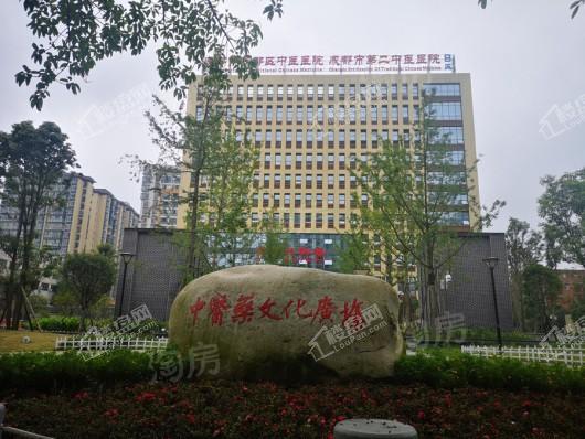 领地悦府配套图
