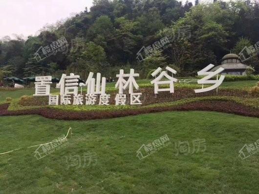 置信·仙林谷乡实景图