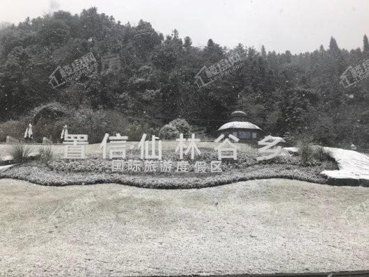 置信·仙林谷乡实景图