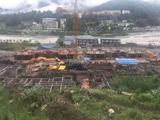 置信·仙林谷乡实景图