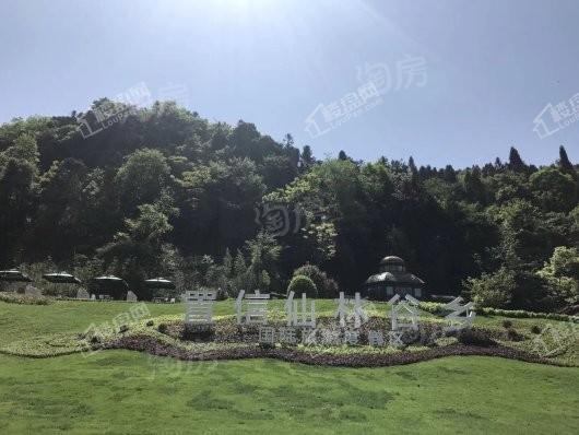 置信·仙林谷乡实景图