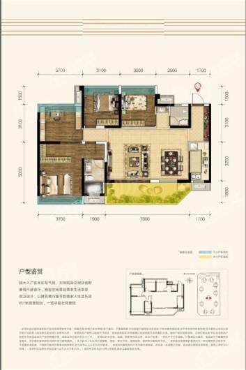 户型图片