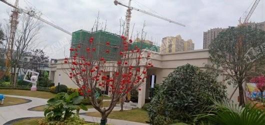 实景图