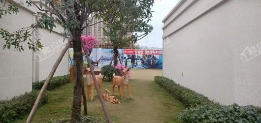 世纪悦城实景图