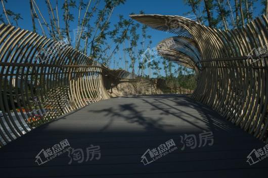 成锦熙锦5号实景图